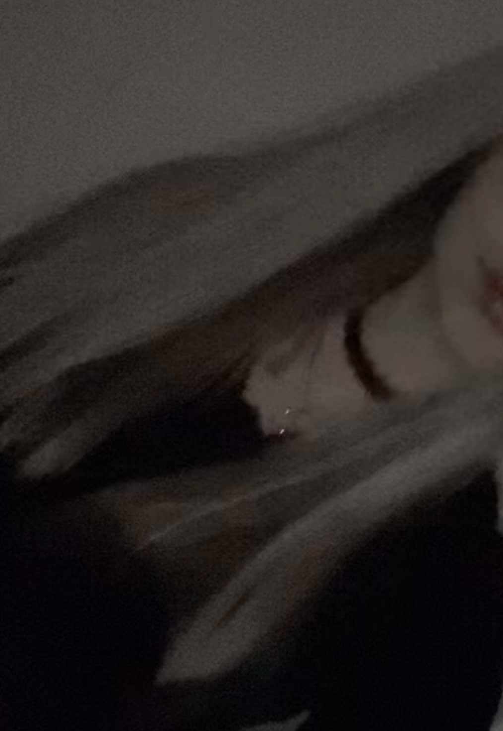 @dihofmis