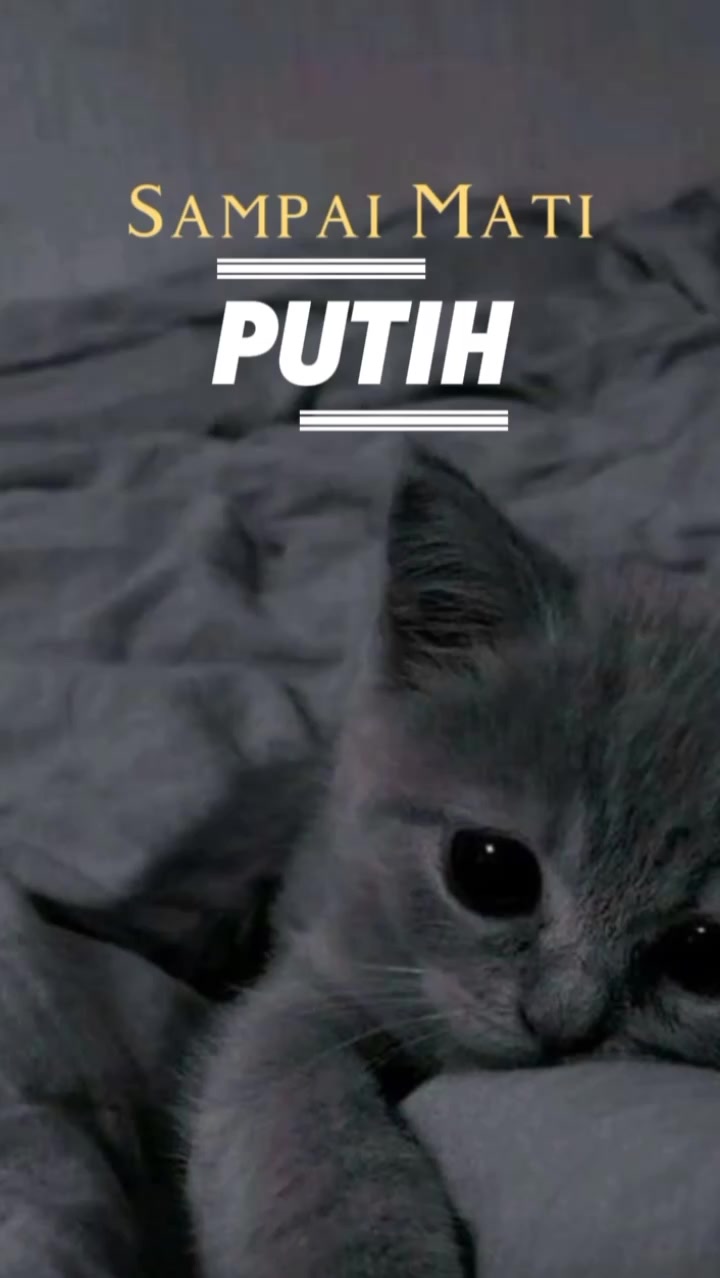 @𝙼𝚄𝚂𝙸𝙲 - 𝙸𝙳