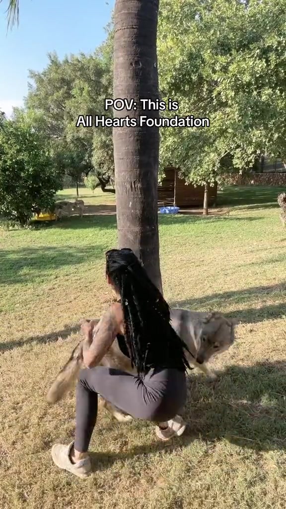 @allheartsfoundation
