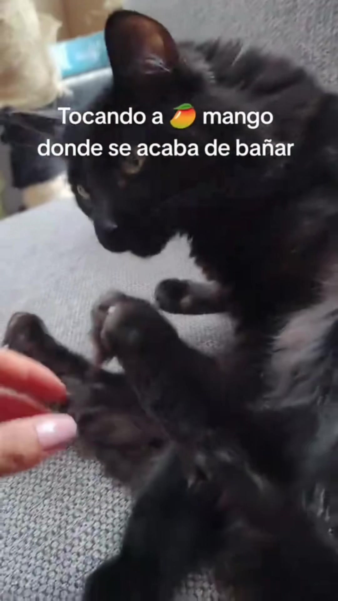 @Michi Amaro