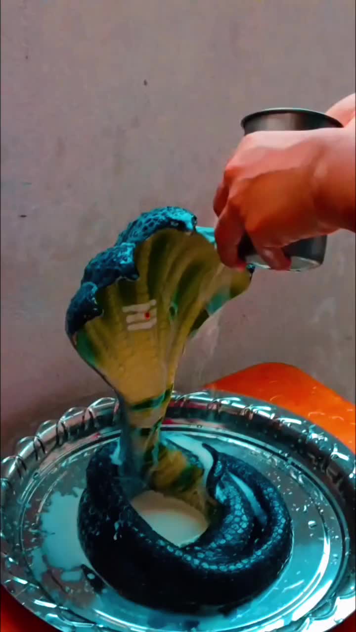 @à¥ð§¿ððžð°ðªð·ðªð§¿à¥