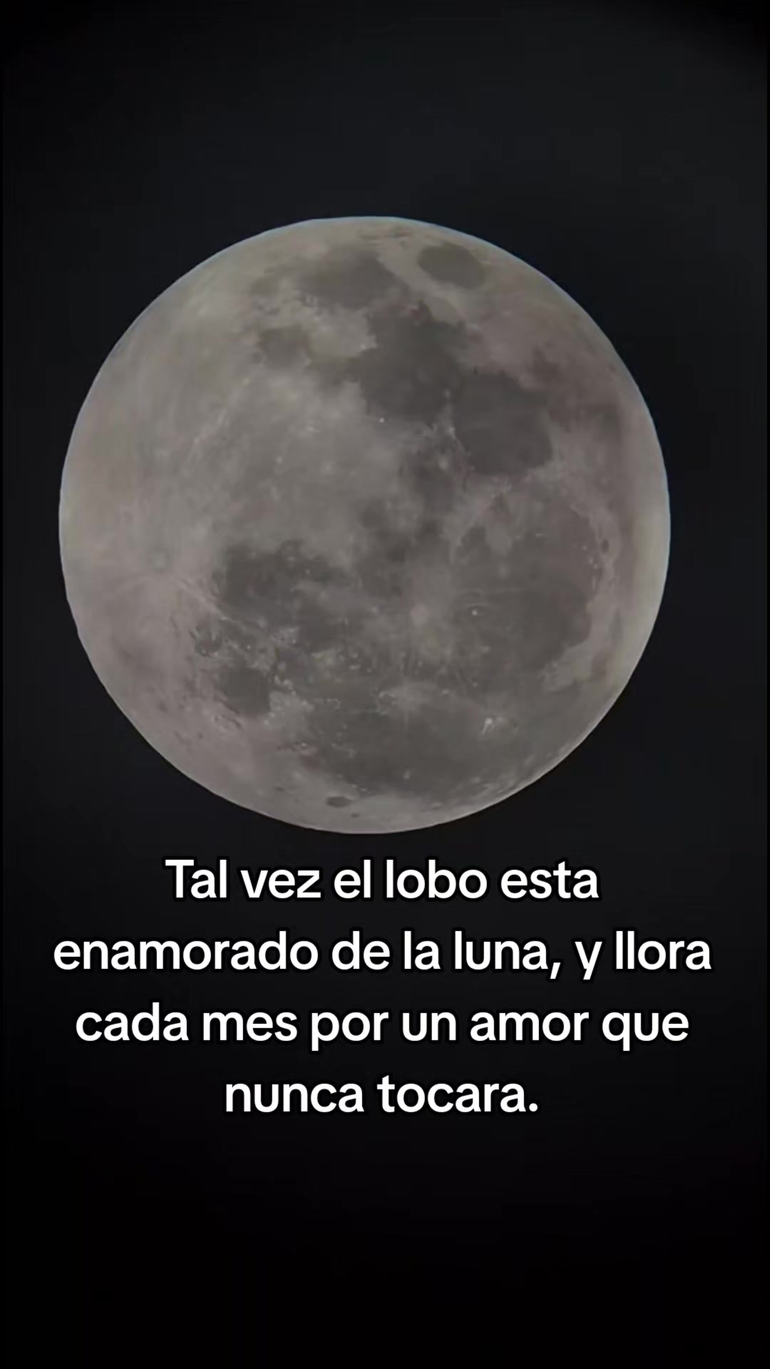 @Jonathan Morazan