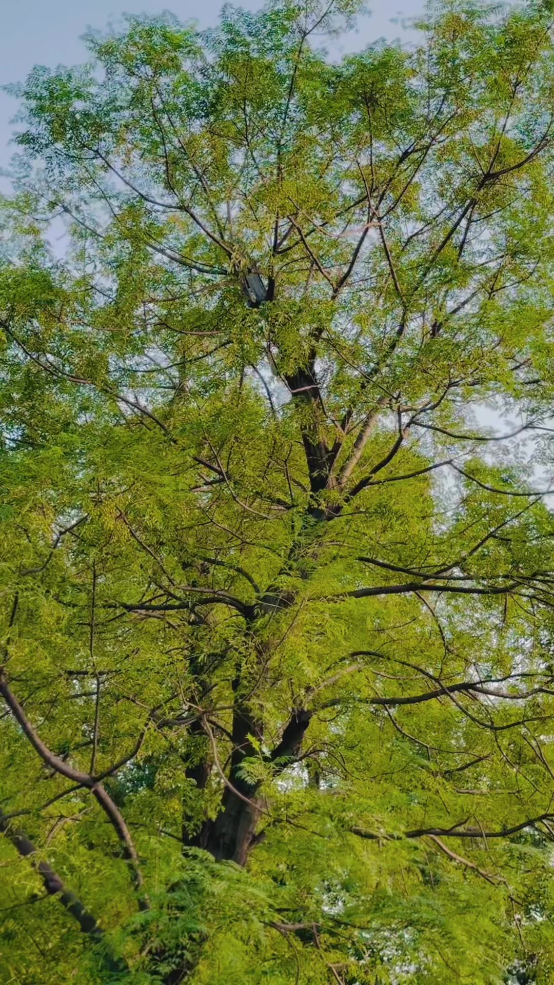 @˚ ¢яσωη_⁰¹ 🦅🏴 °