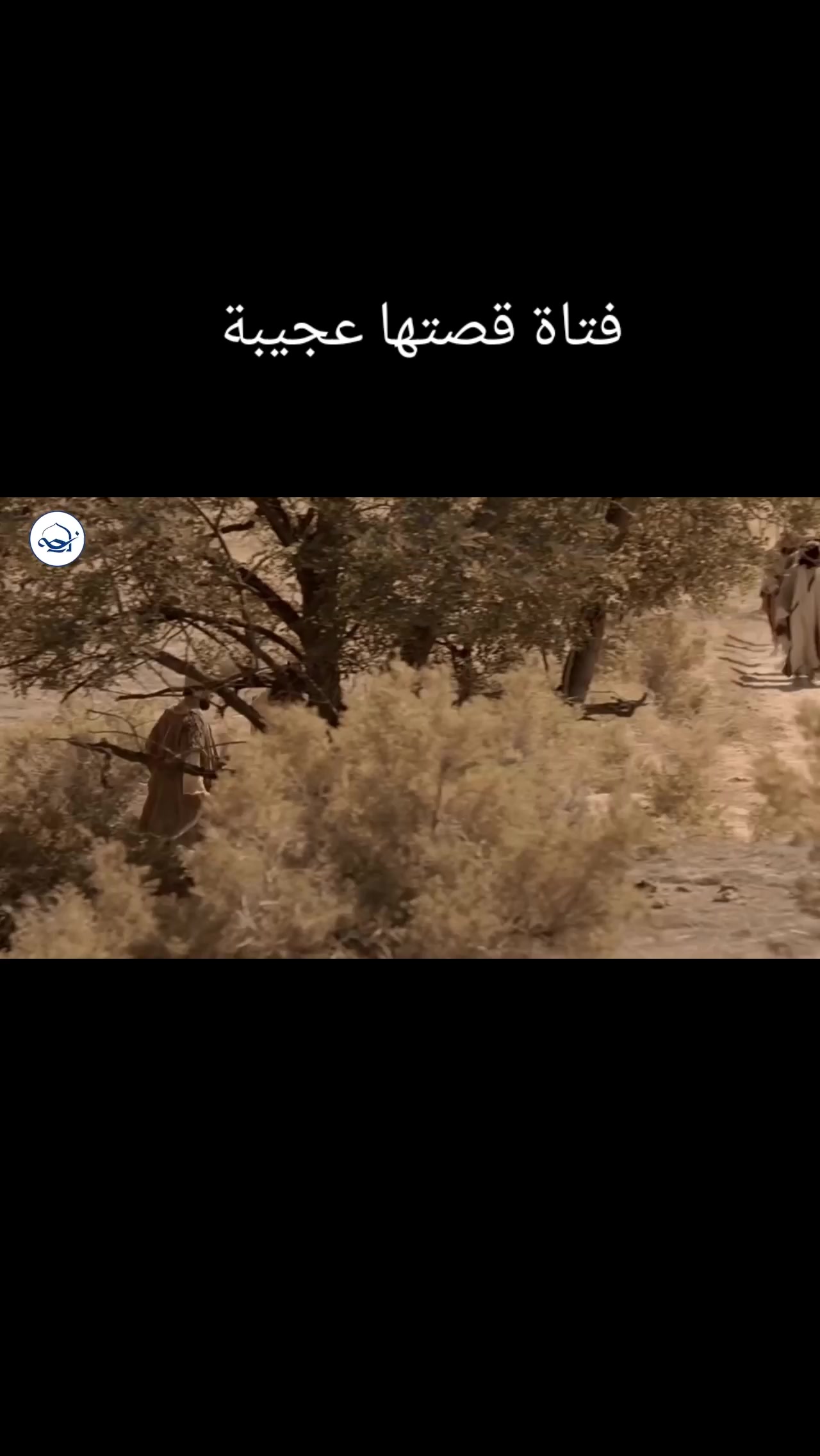 @Tony fayez