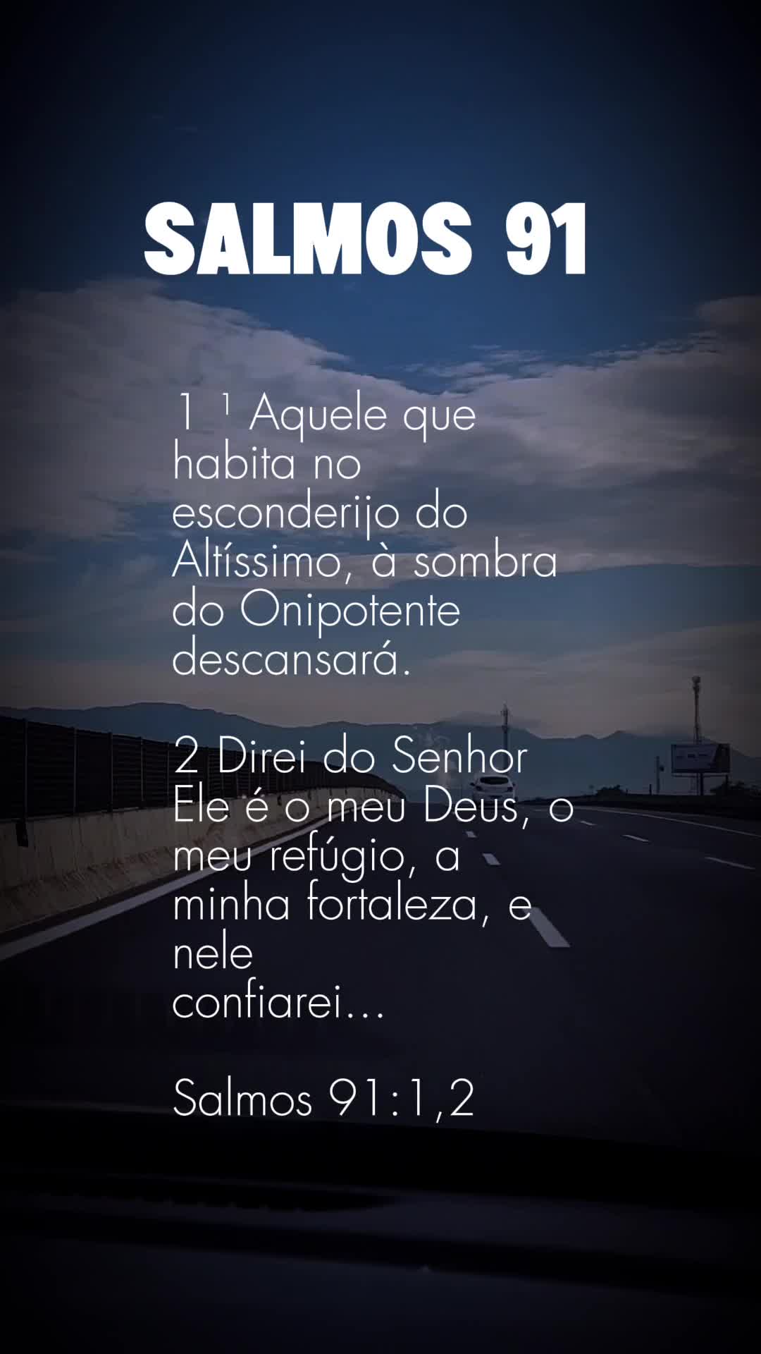@cidarocha740
