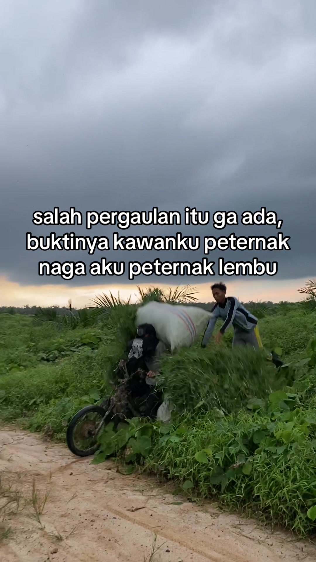 @ngaritboy