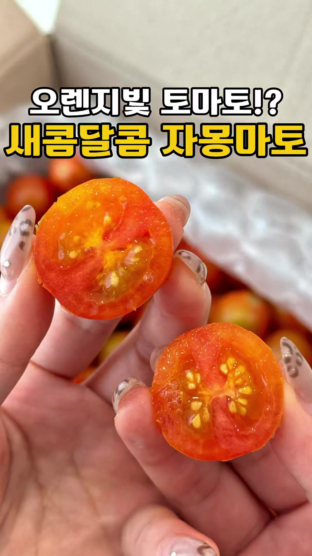@싱싱햇 - 365일 싱싱한 햇 제철 먹거리