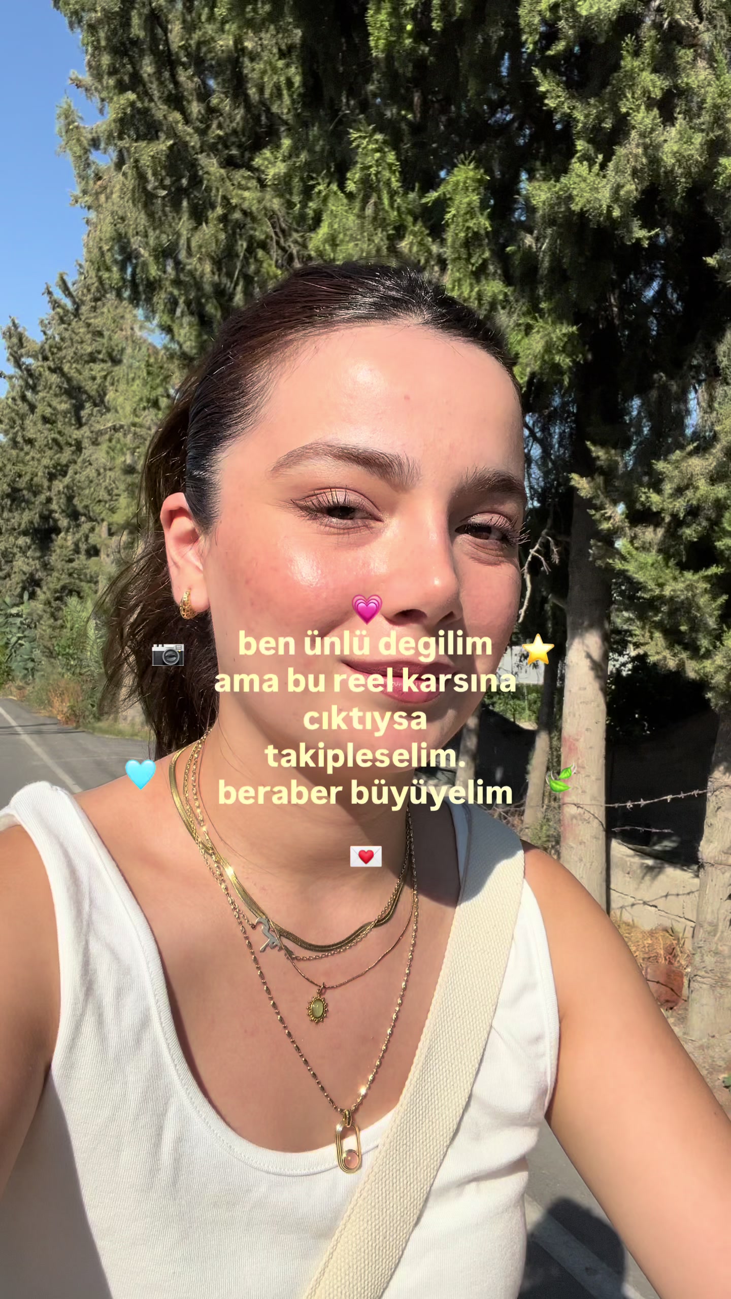 @sulesahnn