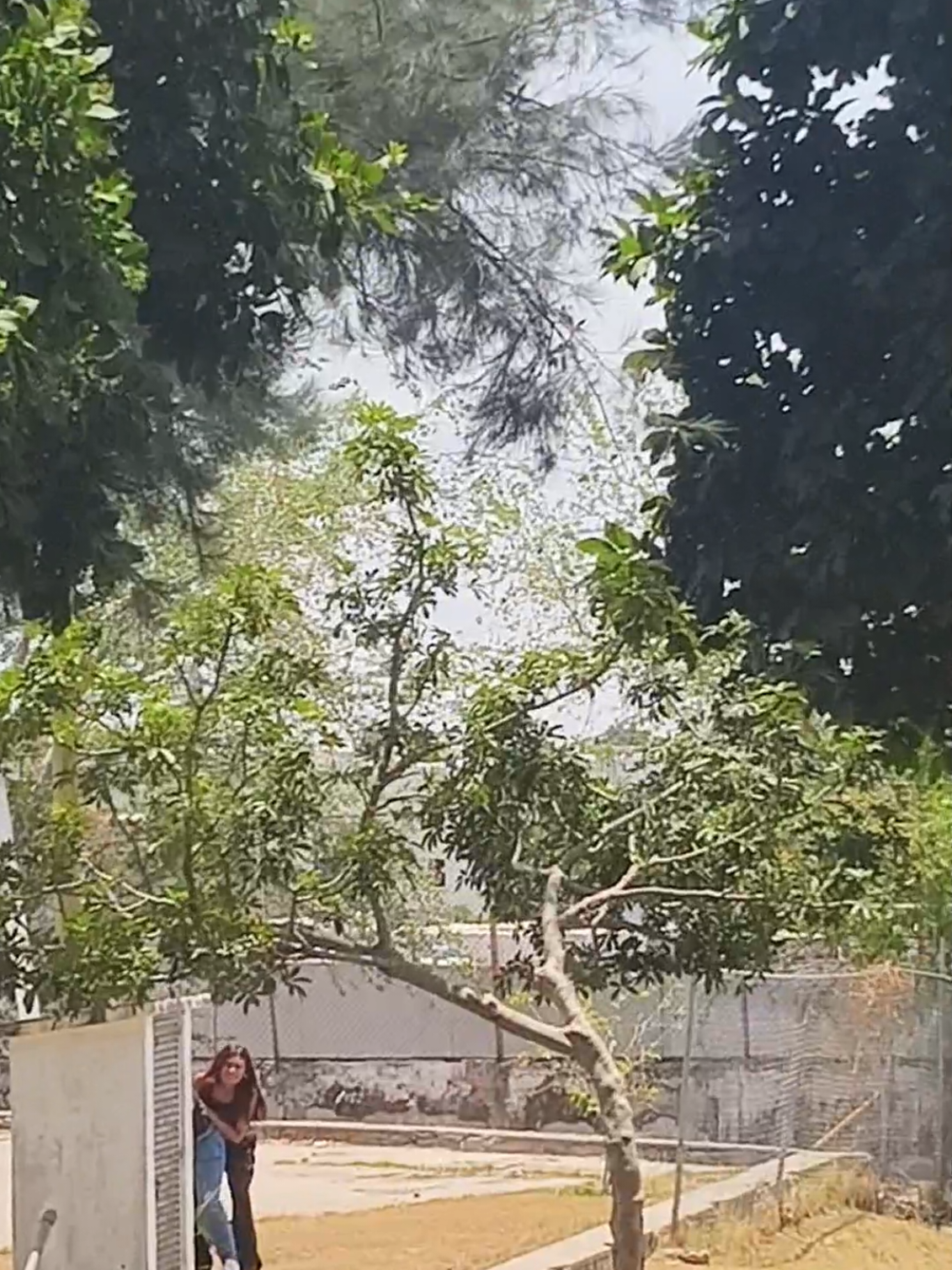 @Hilda Cáceres