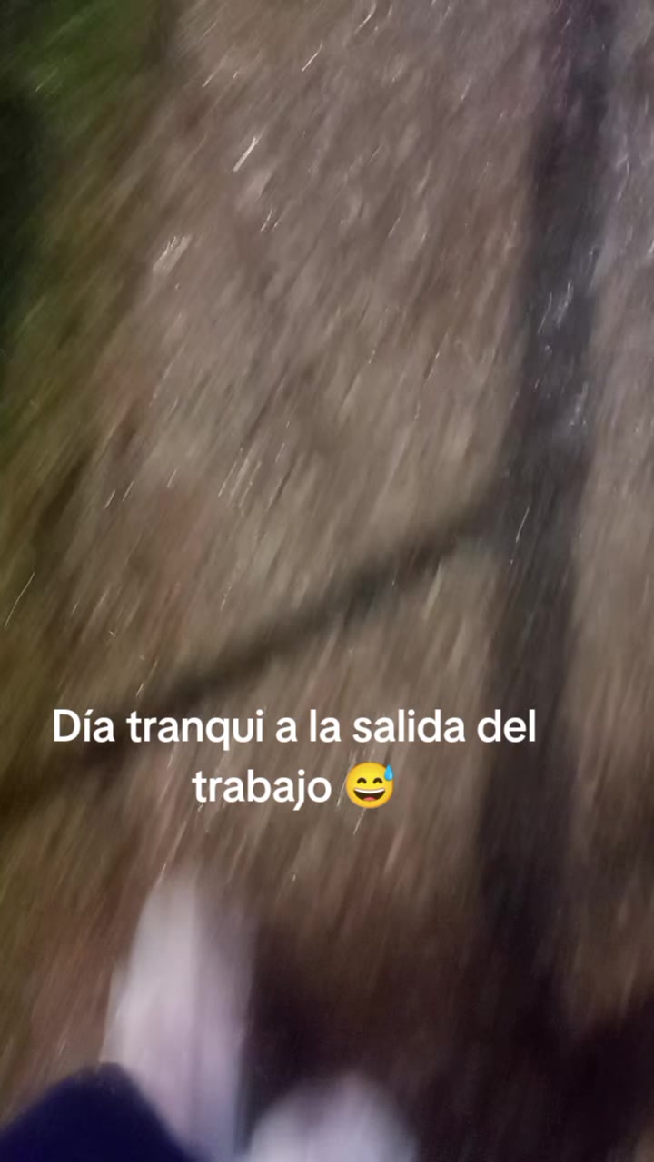 @🐾 Mily 🐾