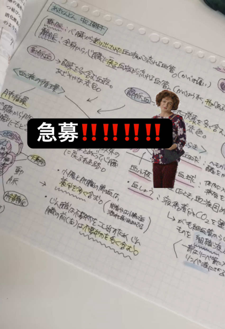 @桐