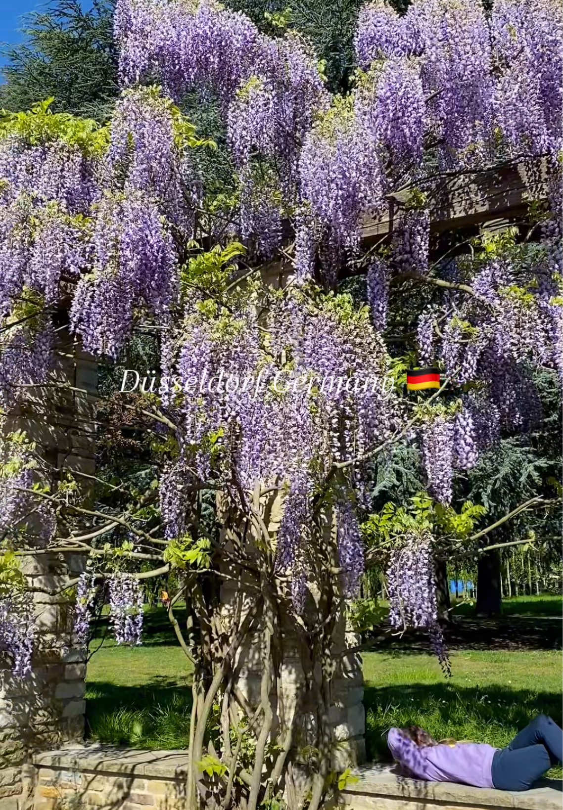 @Вікторія Travel ✈️🎒🌏