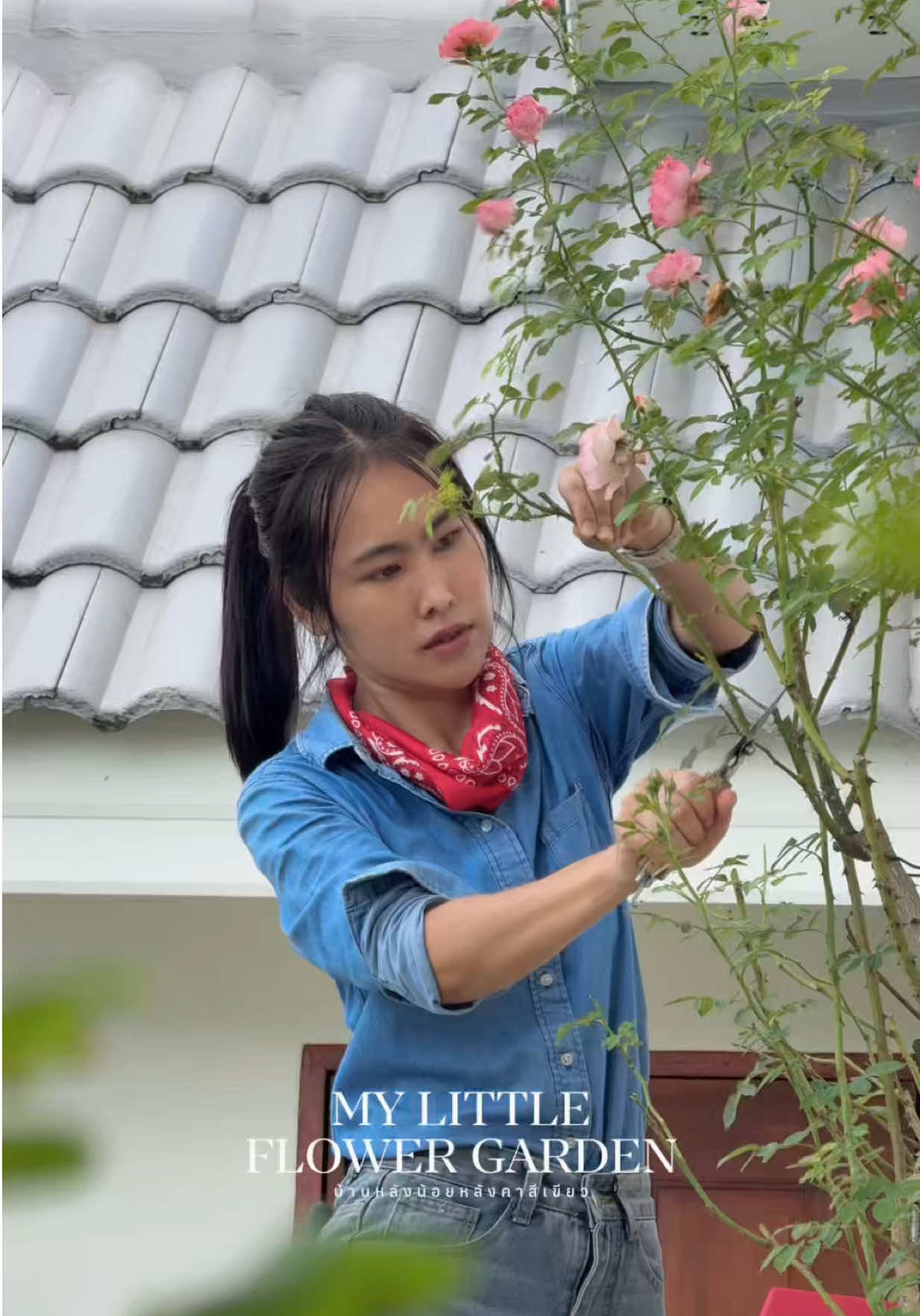 @บ้านหลังน้อยหลังคาสีเขียว