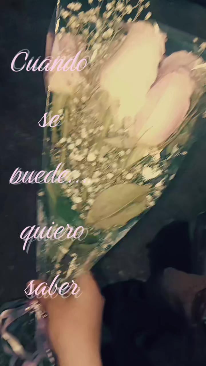 @⋆˚࿔ 𝜗 Vane 𝜚˚⋆