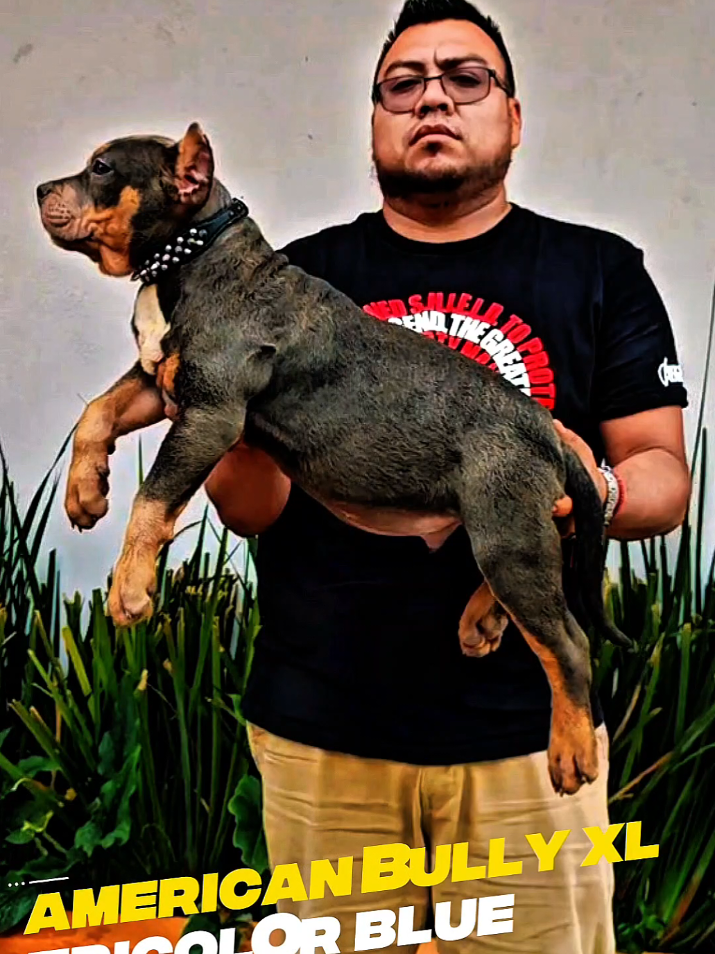 @GALVAN BULLY KENNEL OFFICIAL