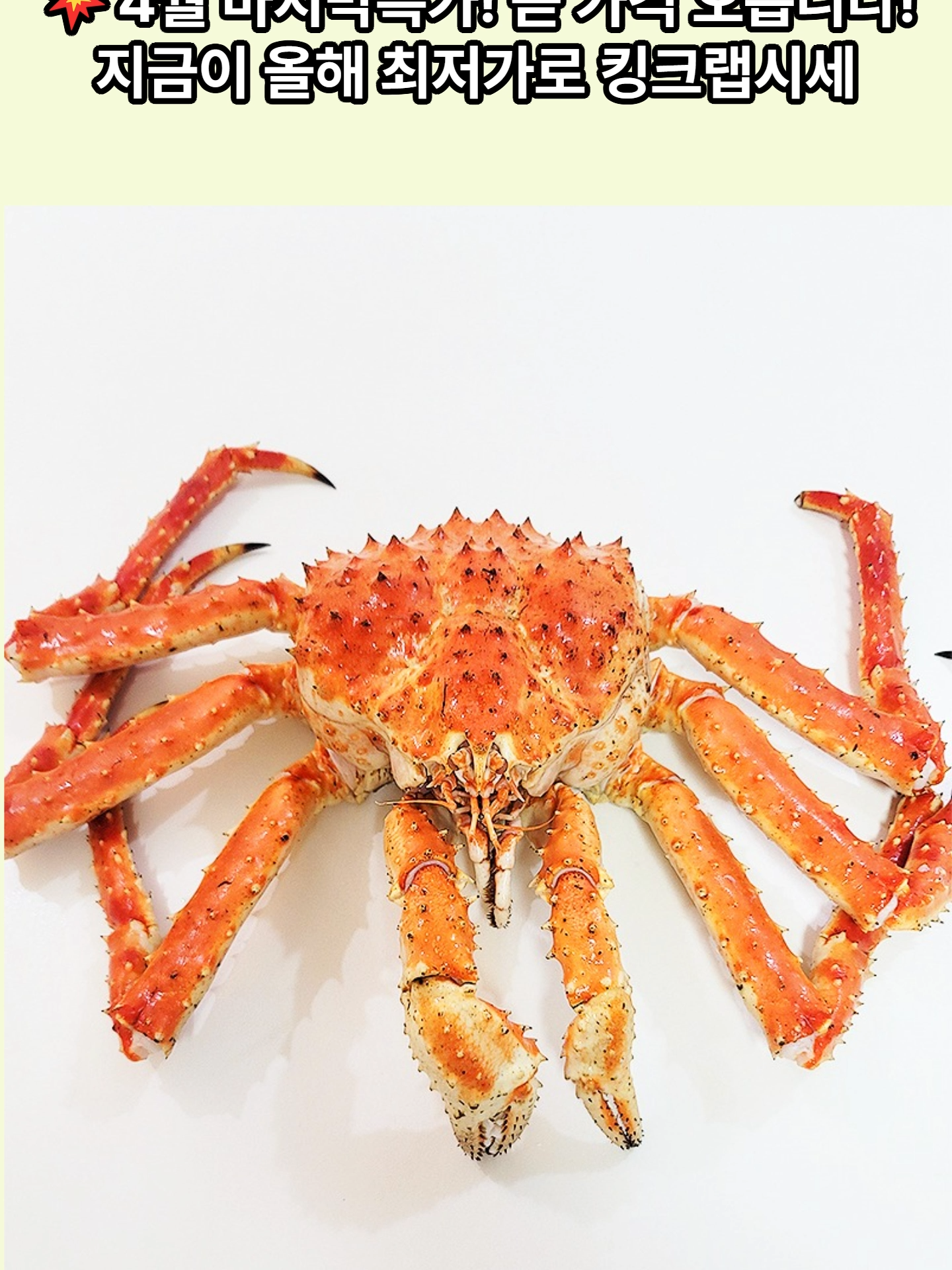 @킹크랩 대게 동해수산유통