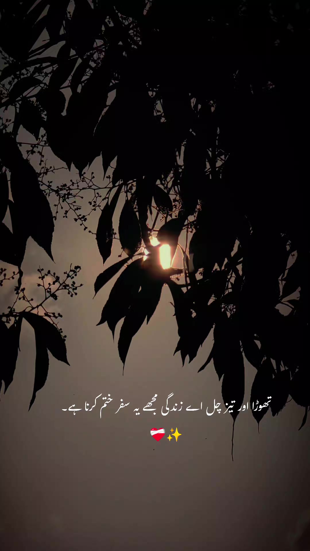 @ــــہہـ٨ــ&hearts;️ـــہہـ٨ـ