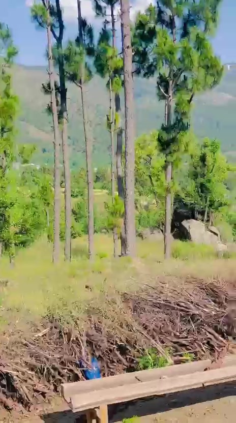 @🇵🇰Nₐ𝘴ₑₑ𝚋 𝓴ₐ𝓱ₐ𝚗🔷