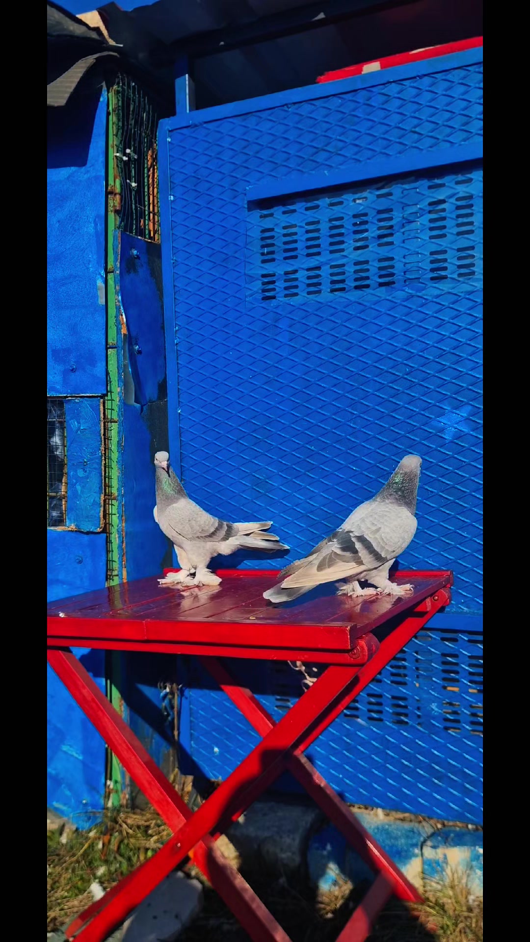 @huseyinsagir