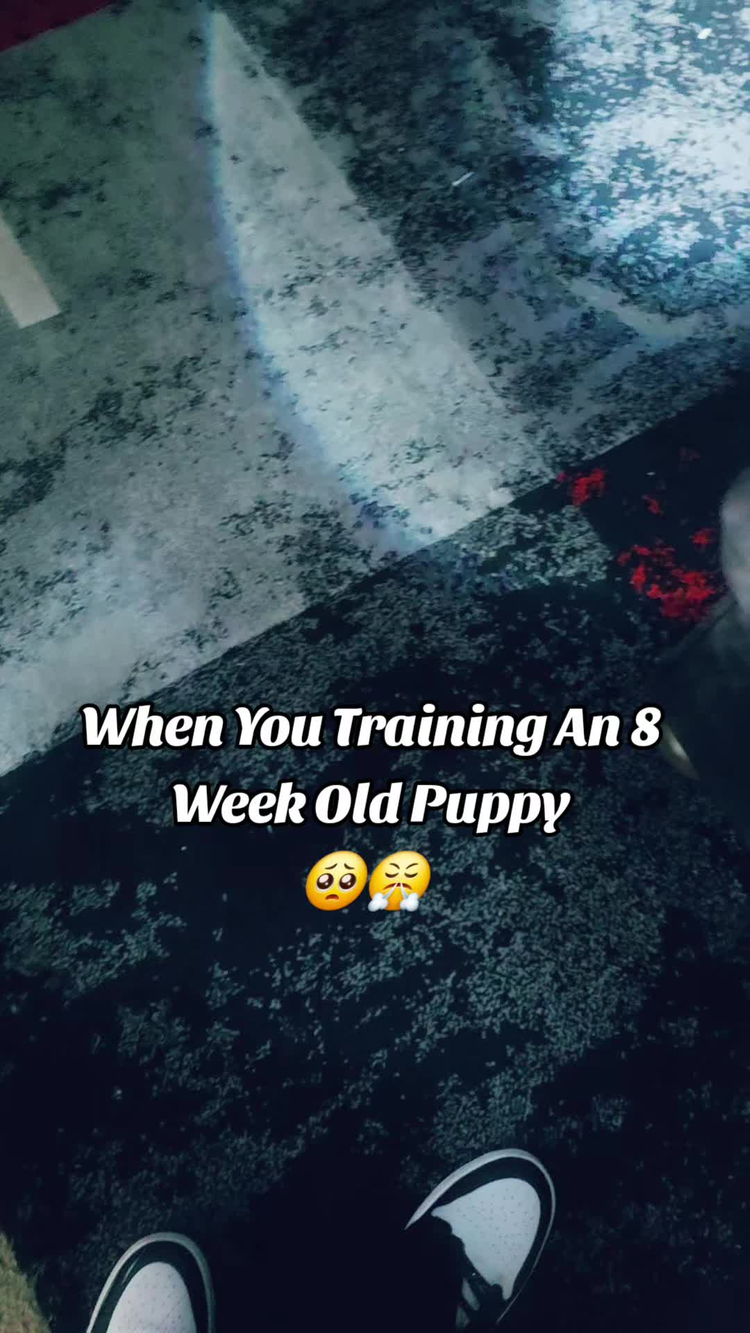 @Mrbigsmooth