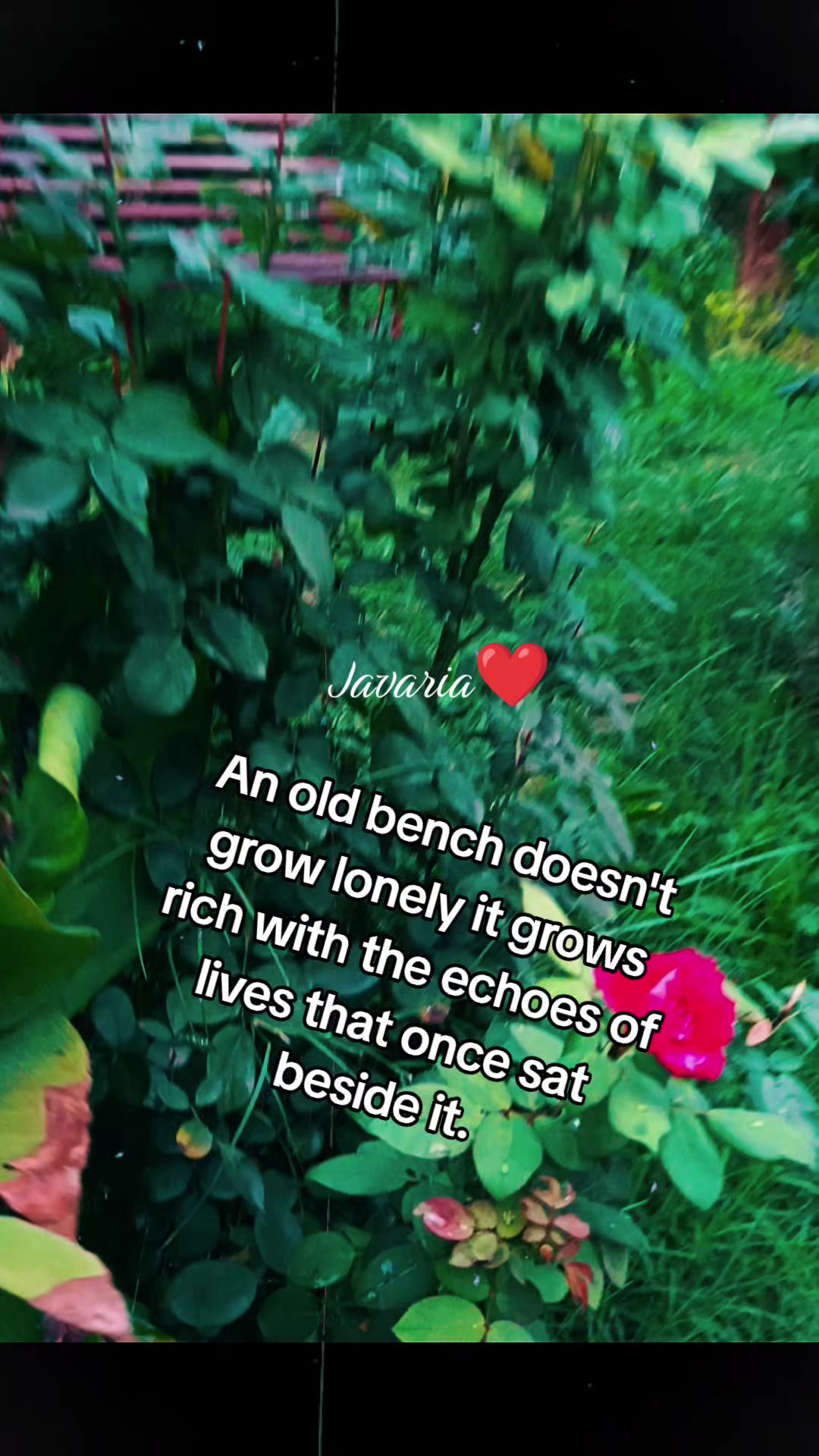 @Dr. Javaria