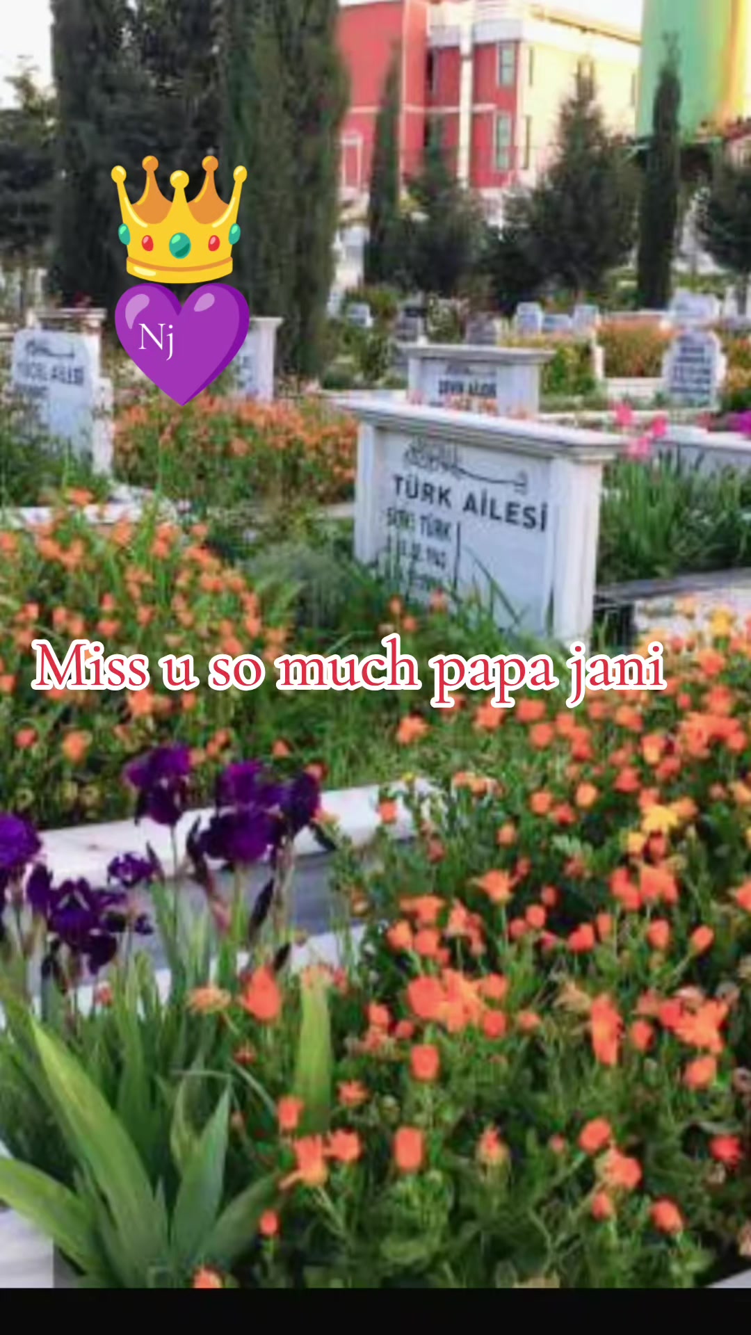@N💜j.Queen