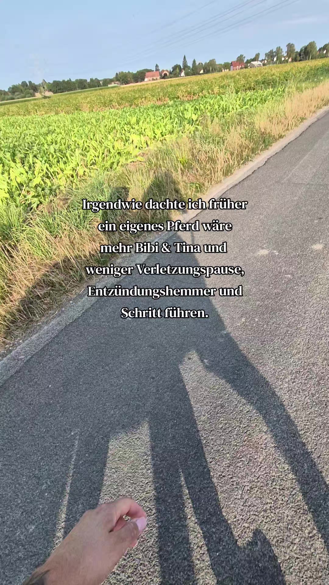 @Soñador