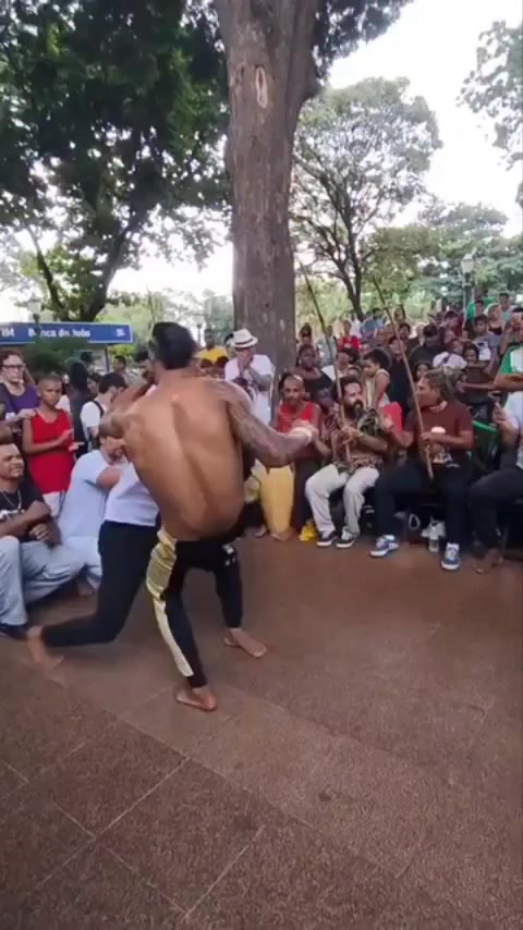 @so_capoeira