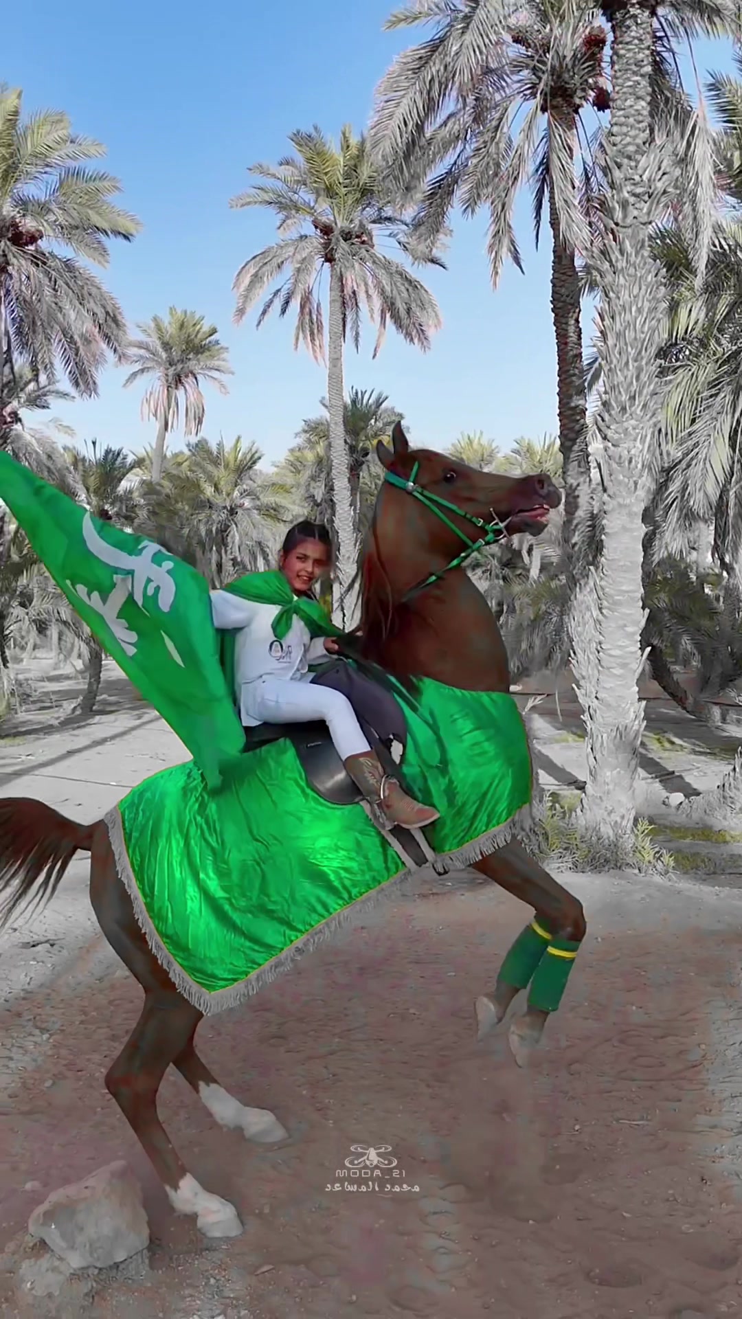 @محمد المساعد🐎📸