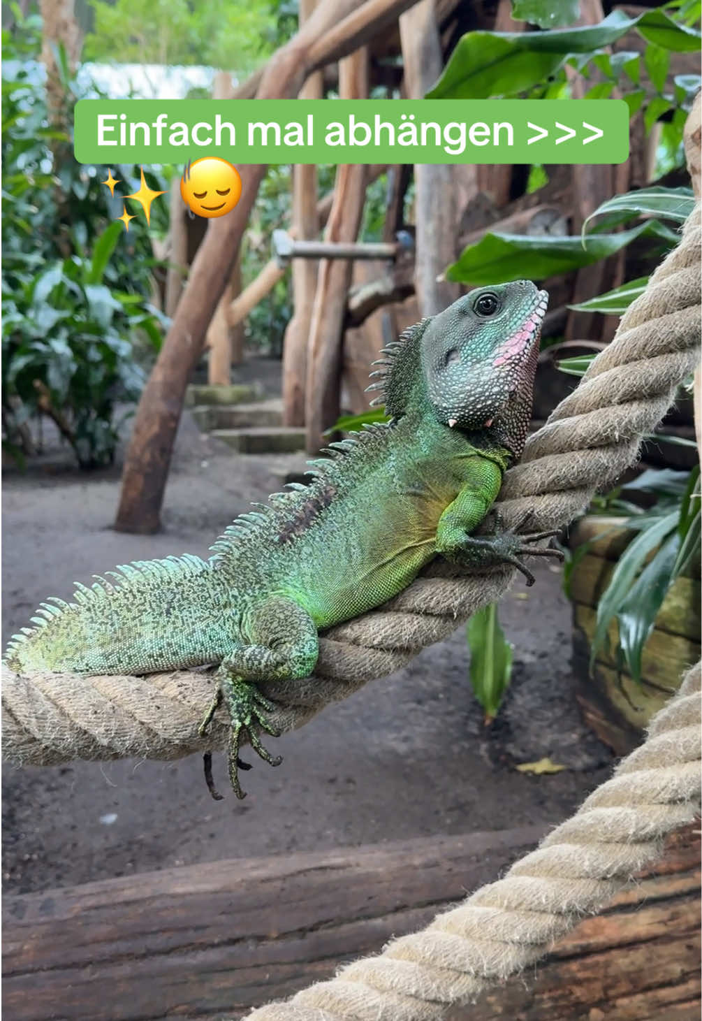 @Biosph&auml;re Potsdam