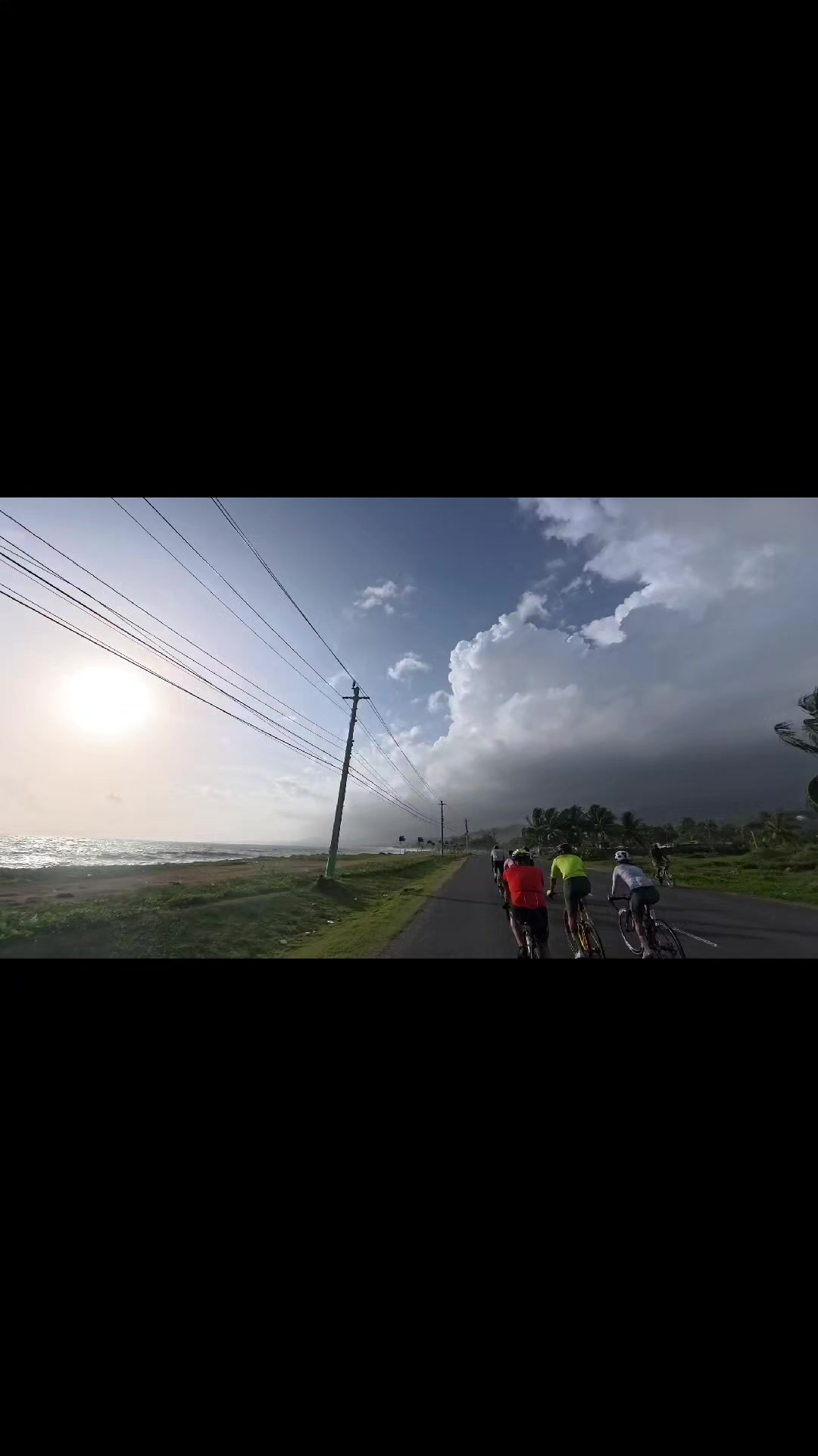 @pedalpulse