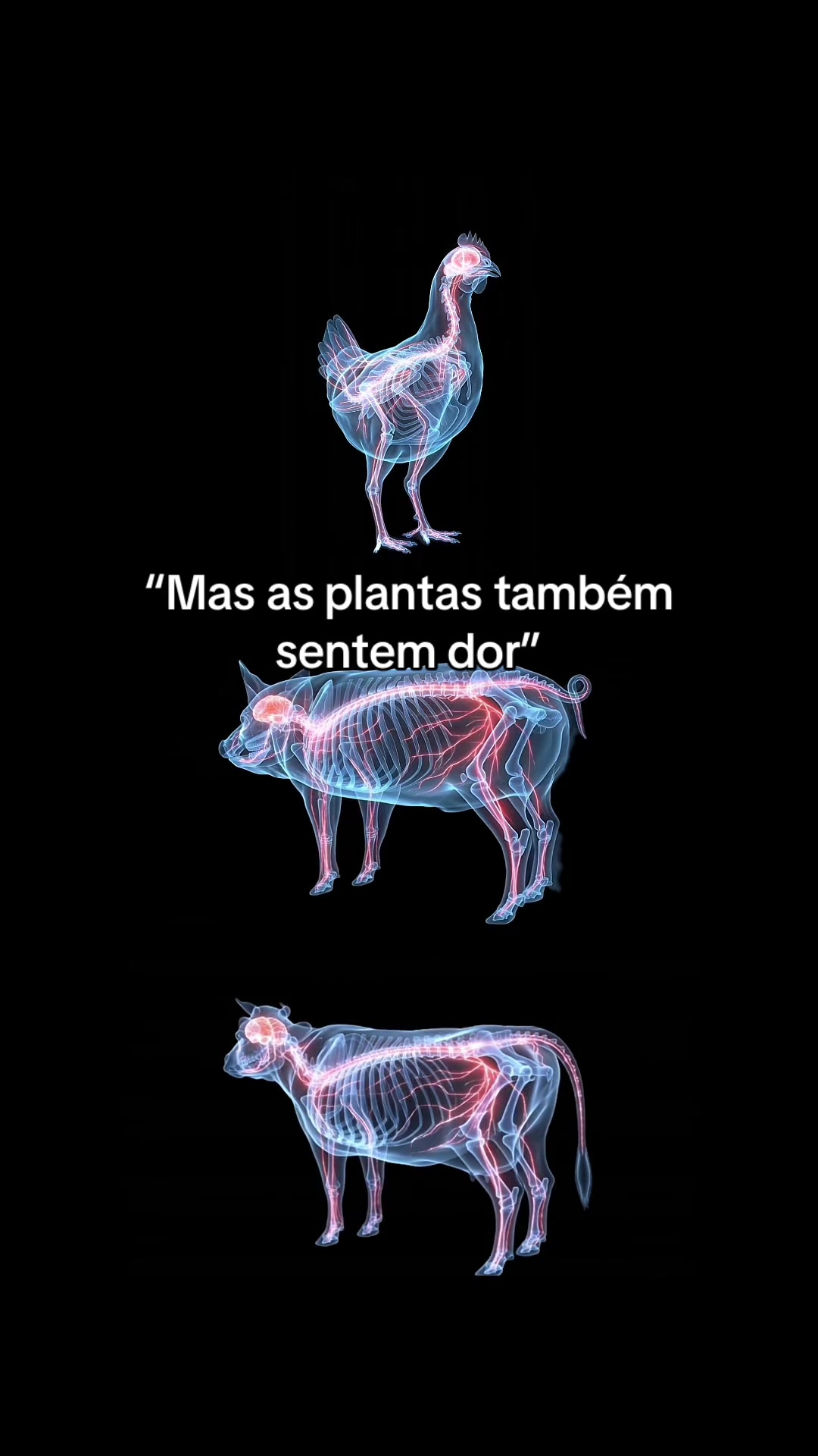 @Carne &eacute; cruel
