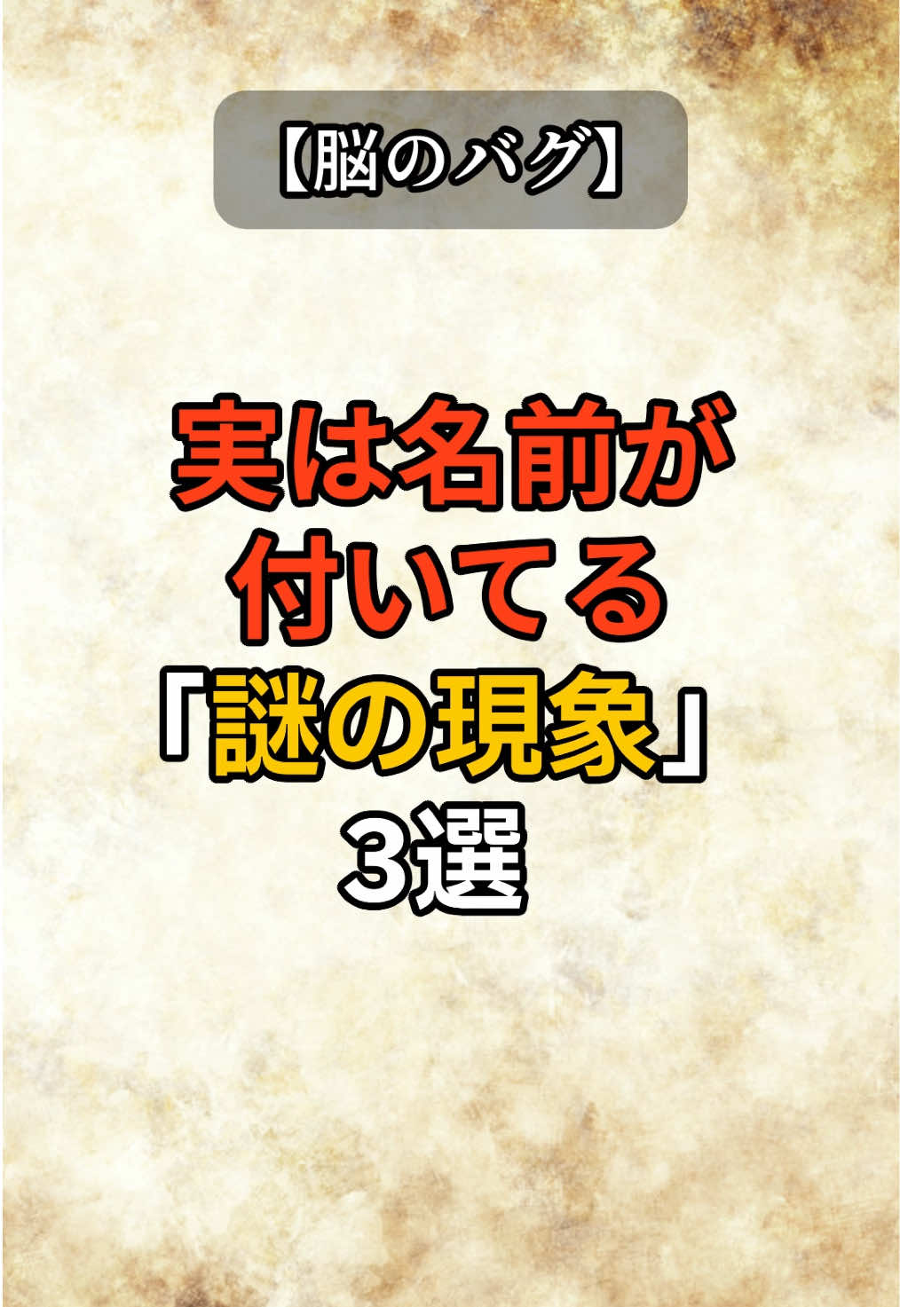 @知識という名の雑学