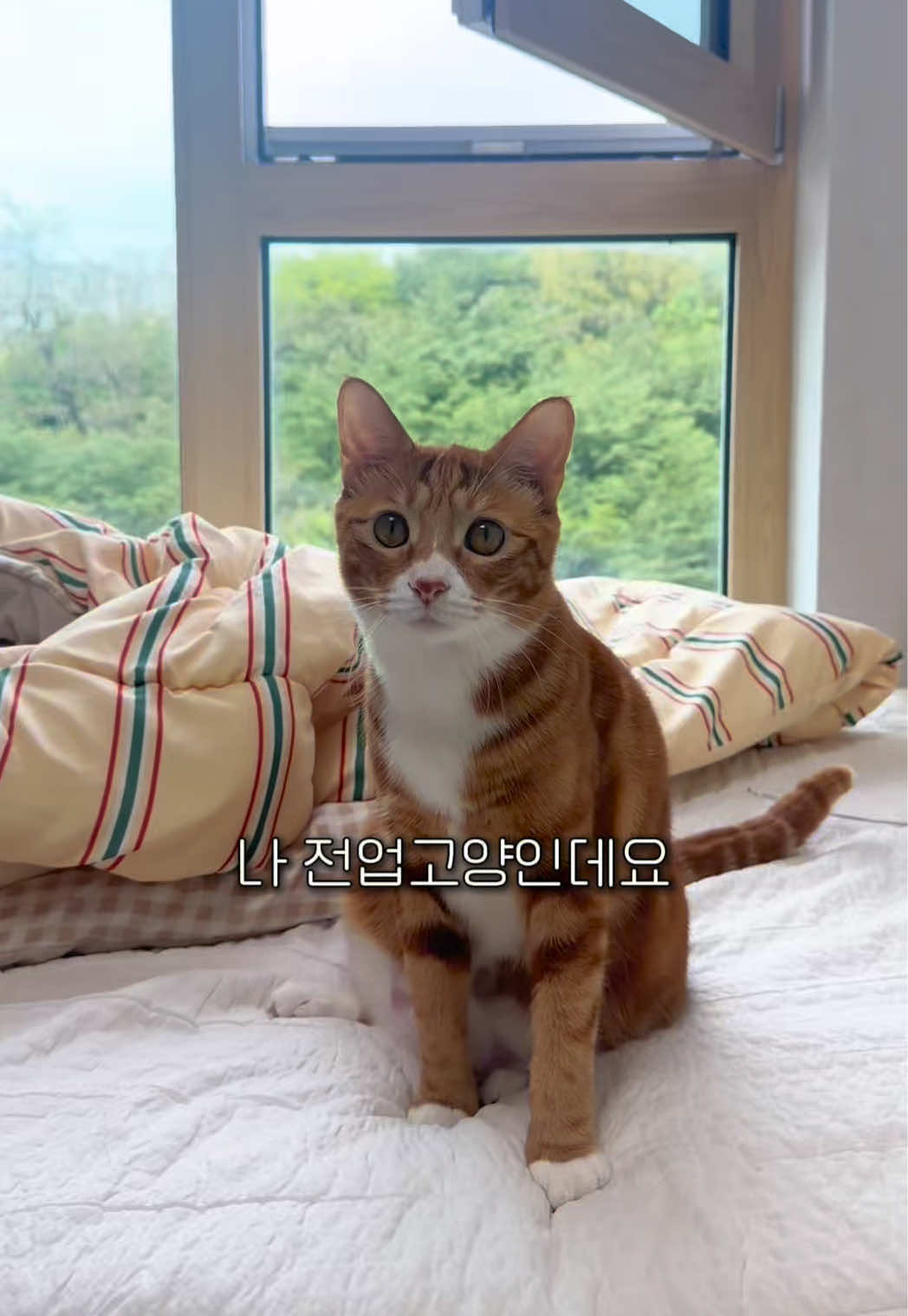 @뮤춘삼