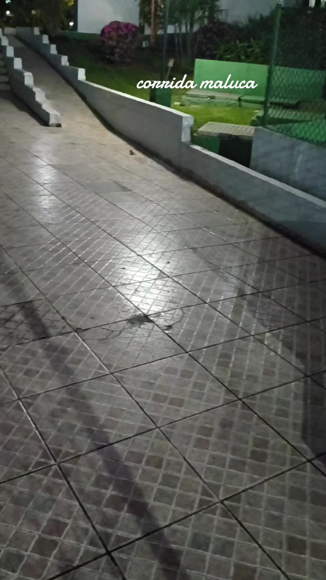 @José Roberto Silva