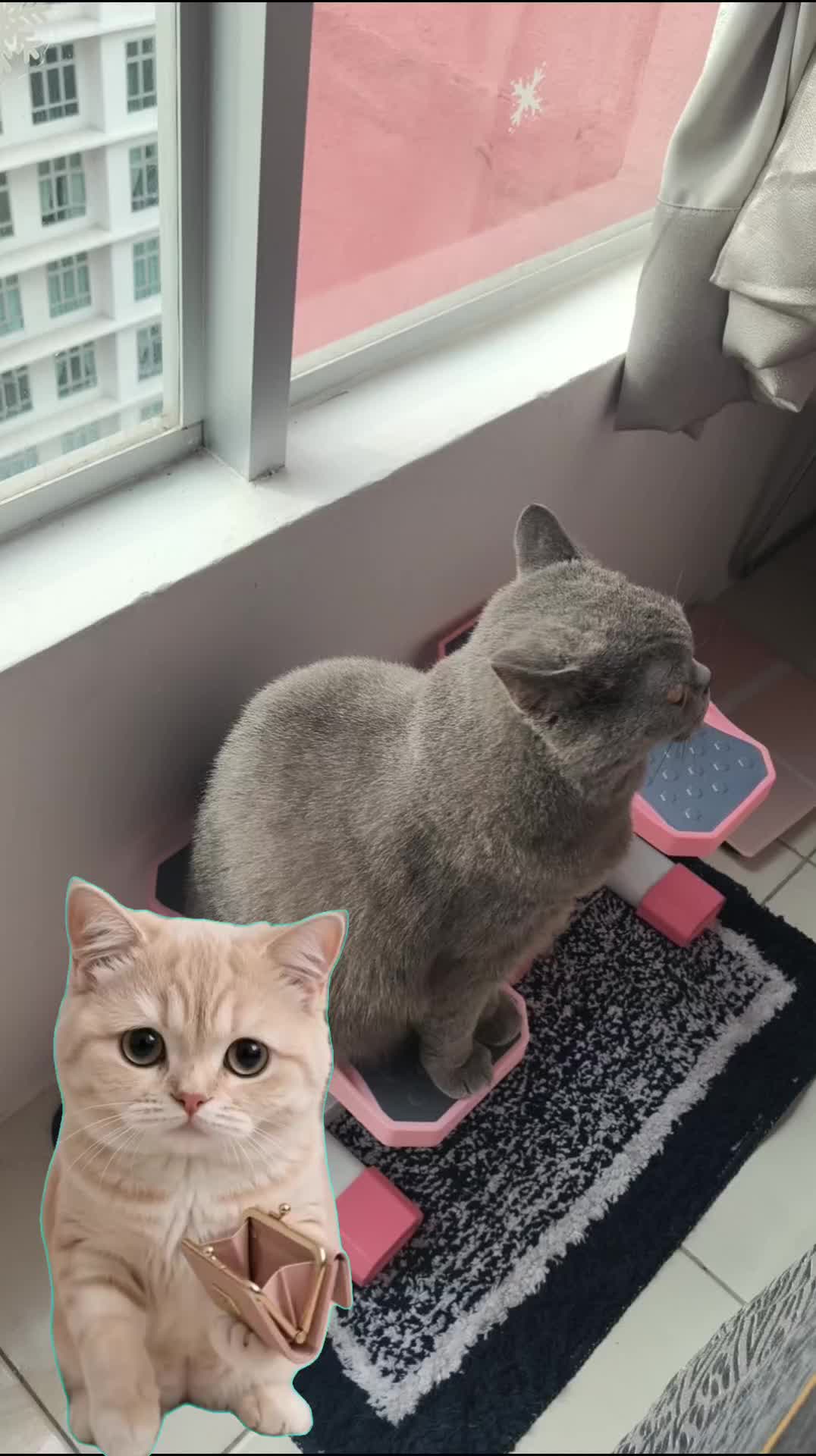 @🍀𝔹𝕖𝕟𝕟𝕪ชอบกินของหวาน 🧁🧋