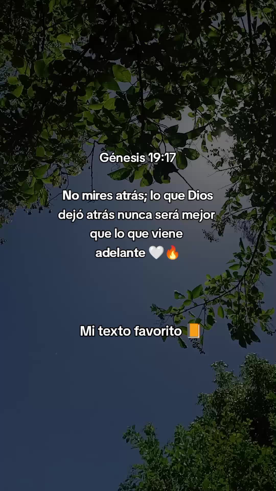 @Sebastián 74