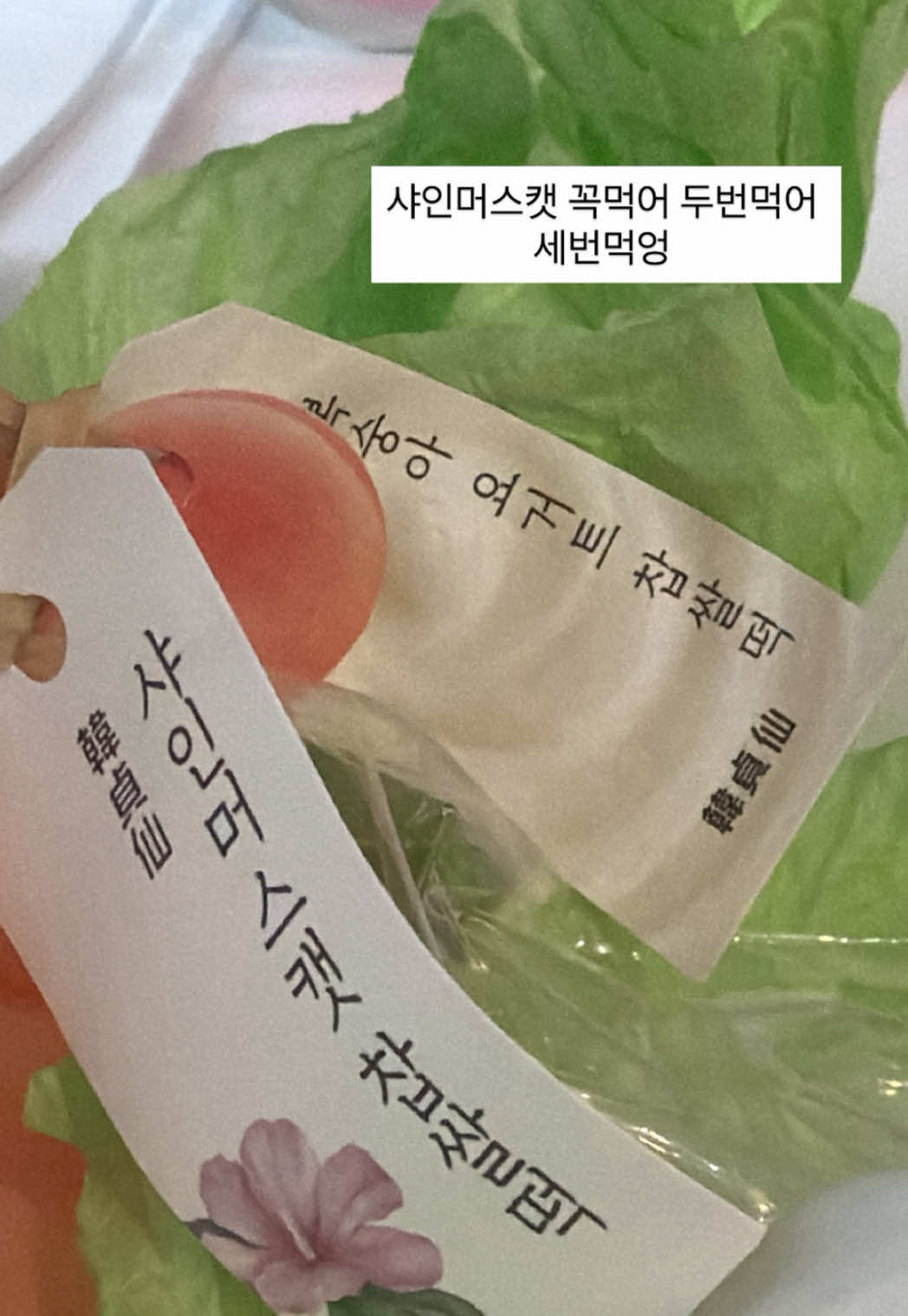 @짜원인데 뭐