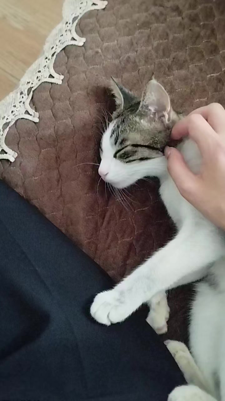 @miniş