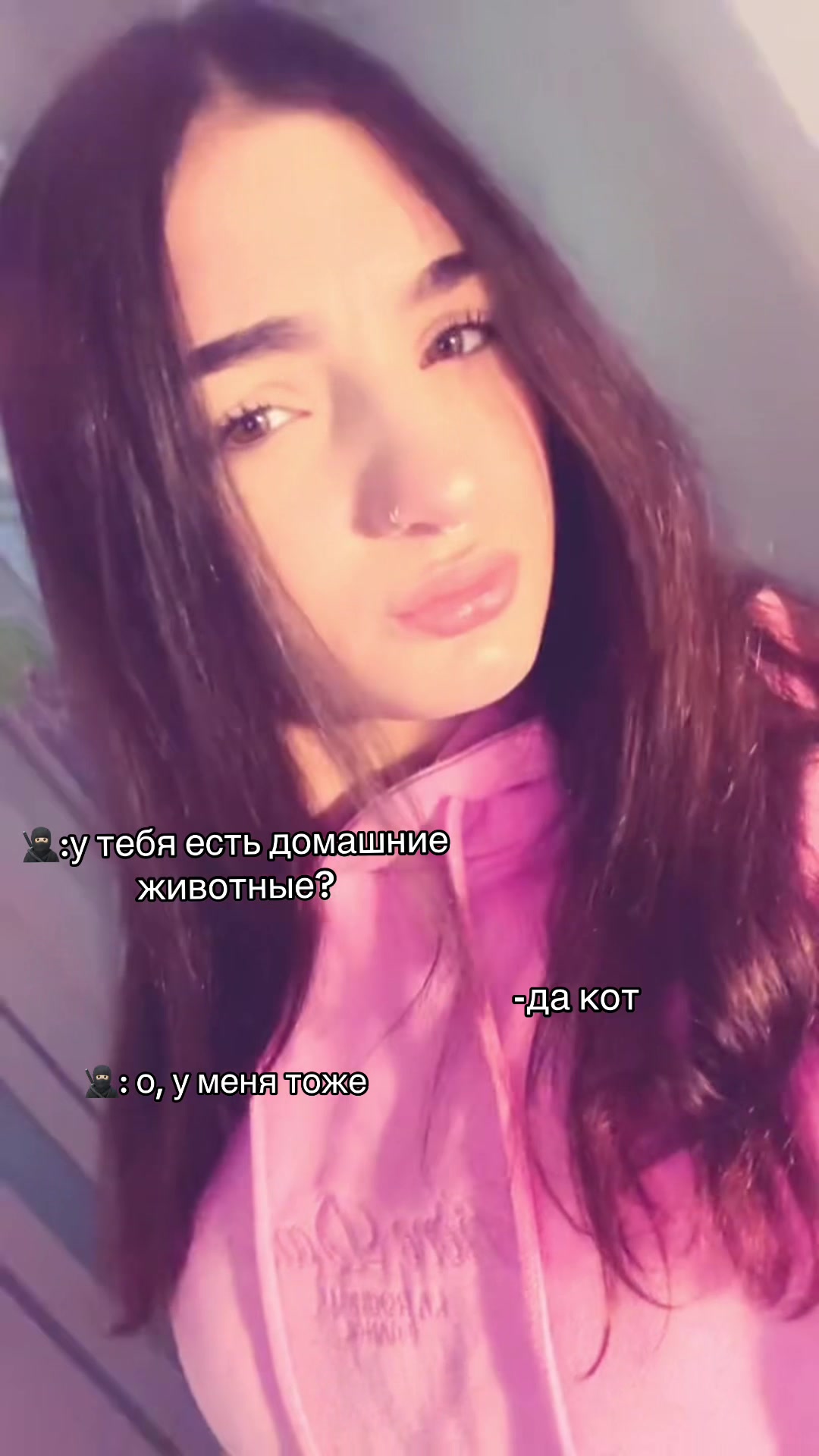 @koshka