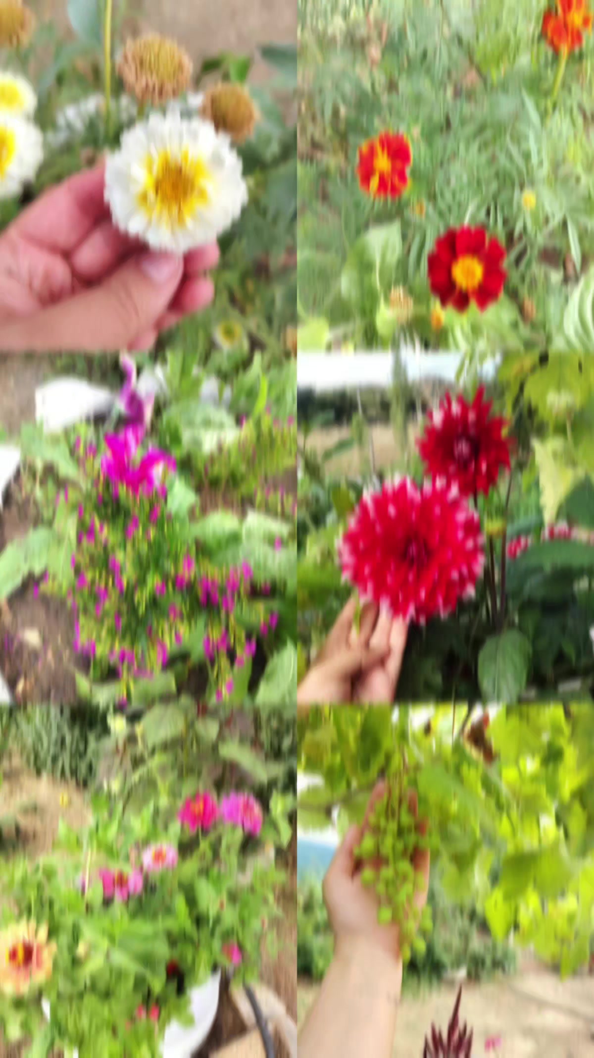 @Yardımlı İnci gözəlik salonu