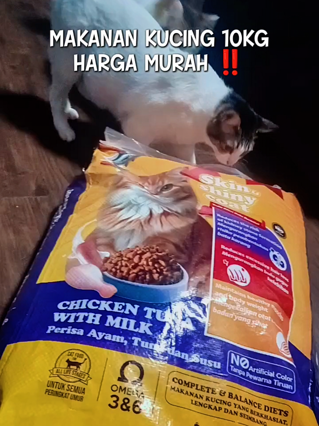 @Norazrena | Racun Tiktok