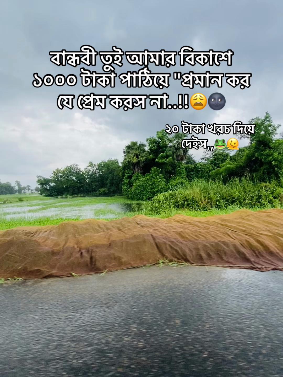 @টিক~টিকি