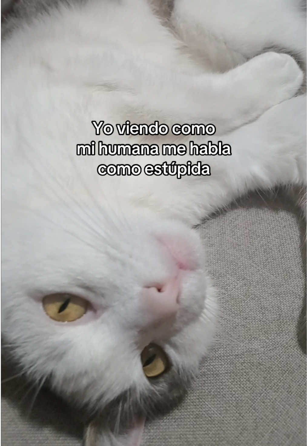 @ThinkPink182