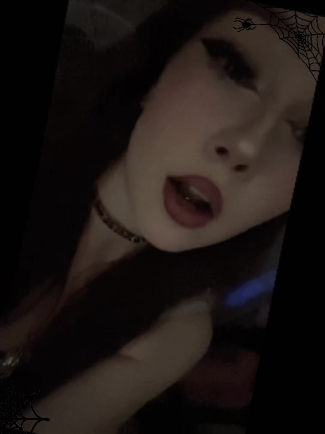 @(=^•^=)
