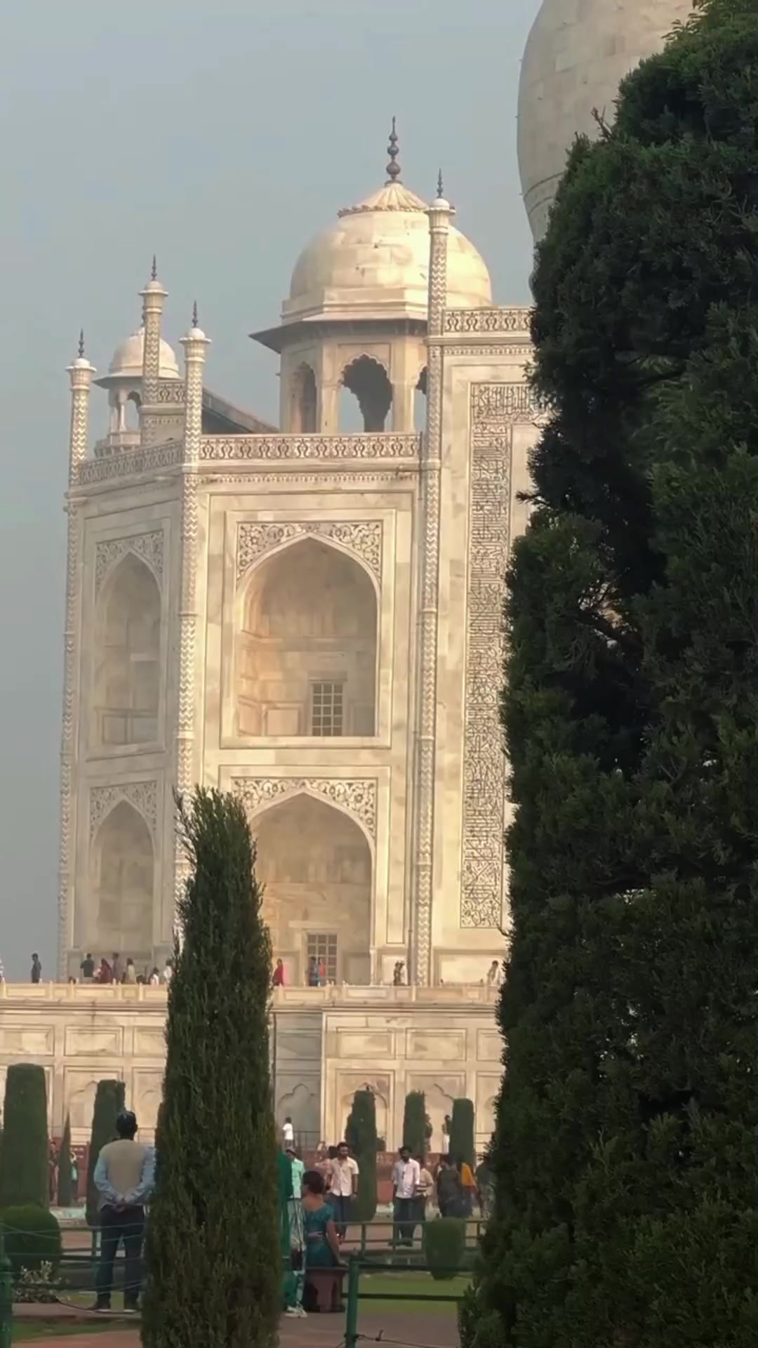 @𝒹