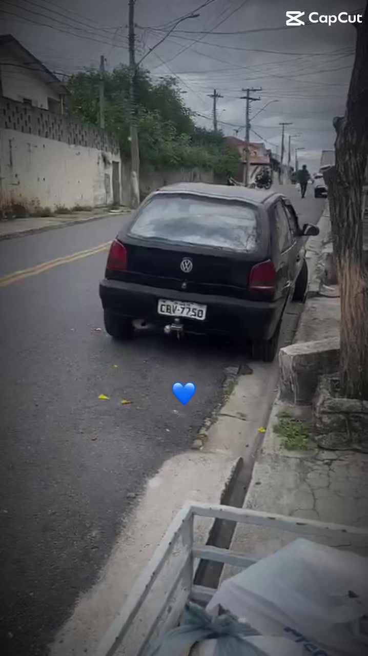 @carlagoncalves4291