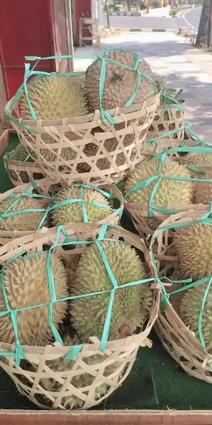 @Kenzhi Durian Tuban