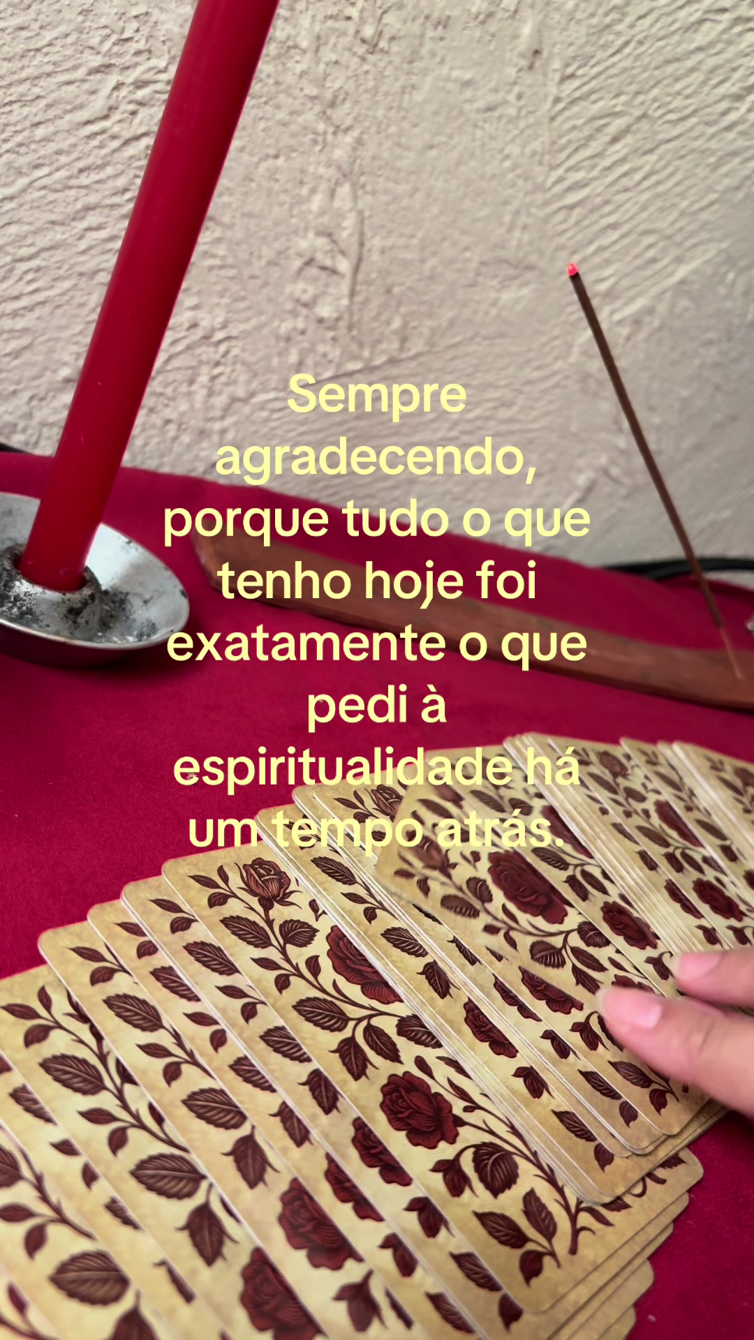 @Dafne | Cartomante 🌪️