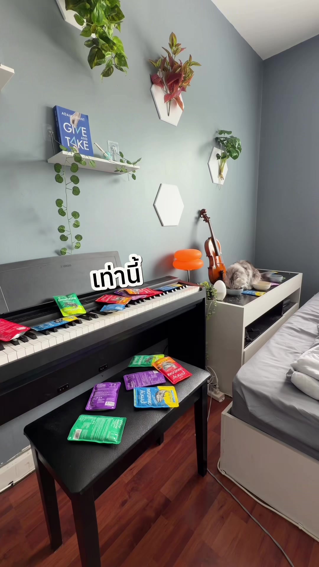 @Peemtang